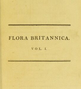 Obra "Sm., Fl. Brit. (1800-1804) Flora Britannica"