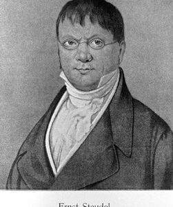 Autor Steud. (1783-1856) Ernst Gottlieb von Steudel