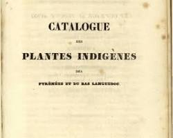 Obra "Benth., Cat. Pl. Pyrénées (1826) Catalogue des plantes indigènes des Pyrénées et du Bas-Languedoc"