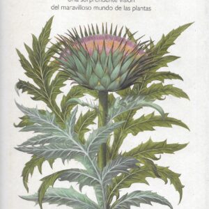 Libro "El reino ignorado"