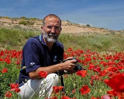 Autor Miguel Cueto Romero